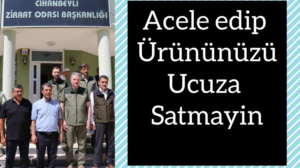 Cihanbeyli Ziraat odası yaklaşan hasat öncesi çiftçileri uyardı