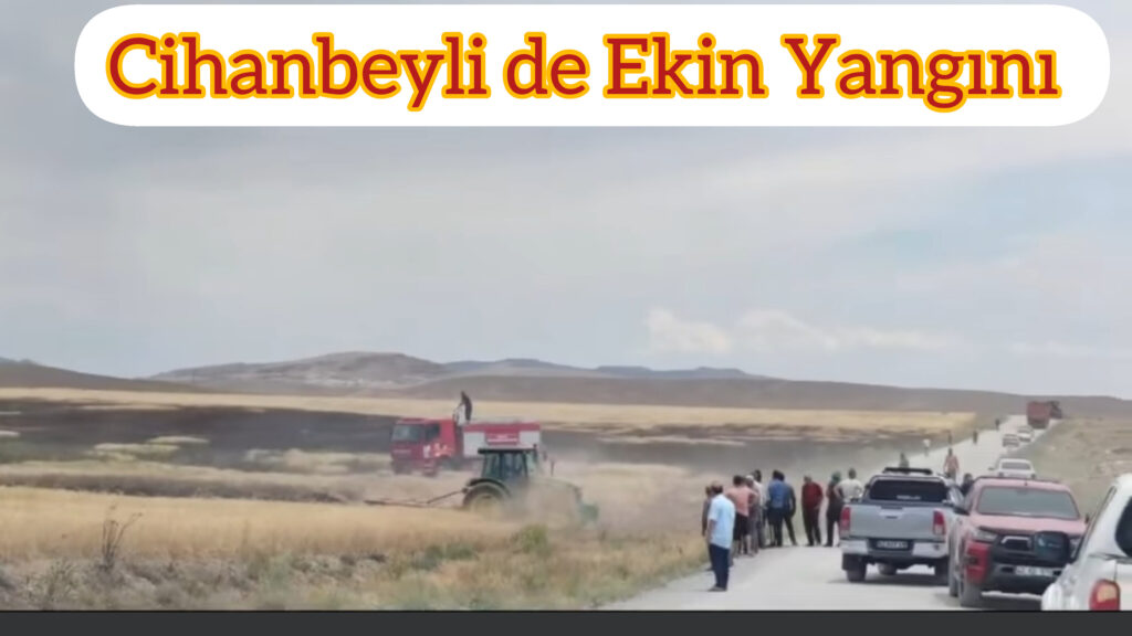 Cihanbeyli de Ekin Yangını Aman Dikkatli olalım